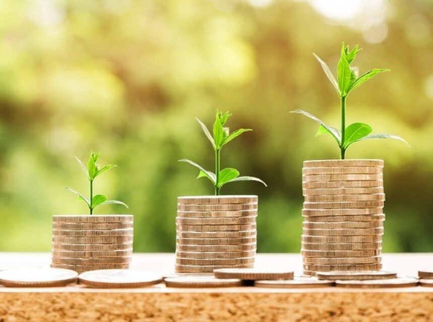 What Isn’t The Role Of The Agency In Growing Your Business? img