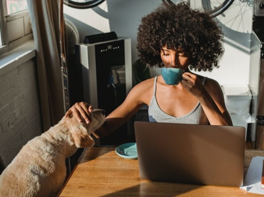 Productivity & Playtime: Working Remotely For Pet Owners img